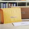 DYMO Authentic LabelWriter suured aadressisildid | 36 mm x 89 mm | Must trükk läbipaistvatel siltidel | 2 rulli 130 (260 lihtsalt eemaldatavat silti) | Isekleepuvad | LabelWriter sildivalmistajatele