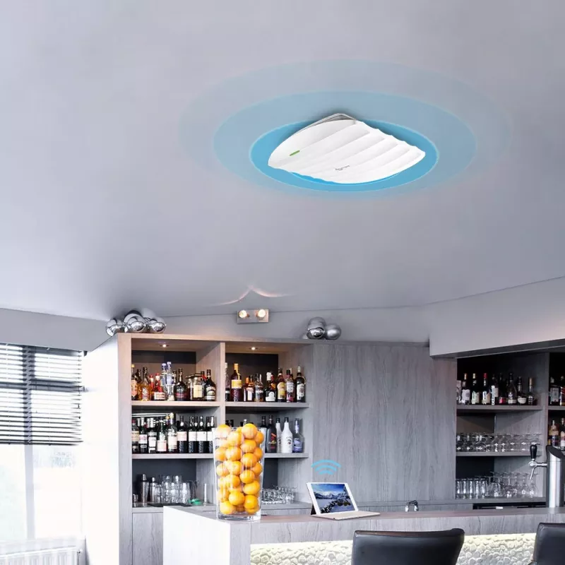 TP-Link Omada 300Mbps Wireless N lae- või seinale paigaldatav pääsupunkt