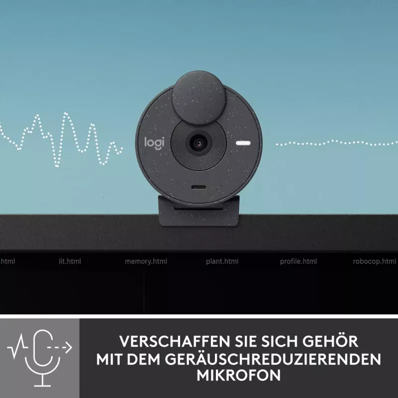 LOGITECH Brio 300 Full HD veebikaamera - grafiit