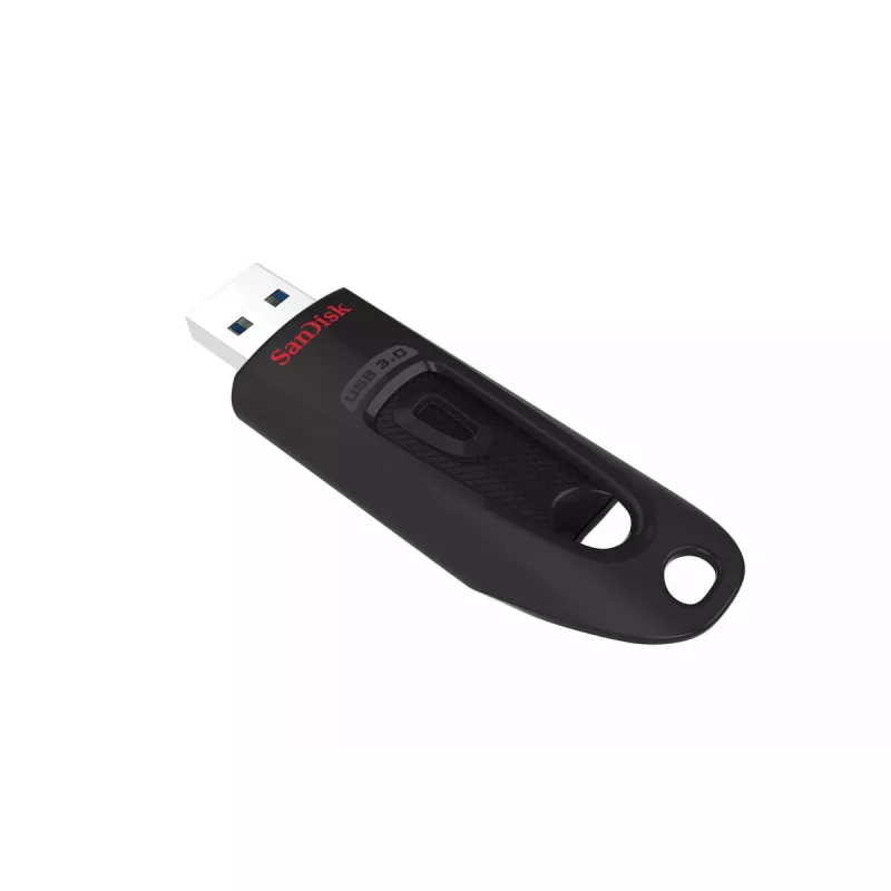 USB-mälupulk SanDisk 256 GB USB Type-A 3.2 Gen 1 SDCZ48-256G-U46