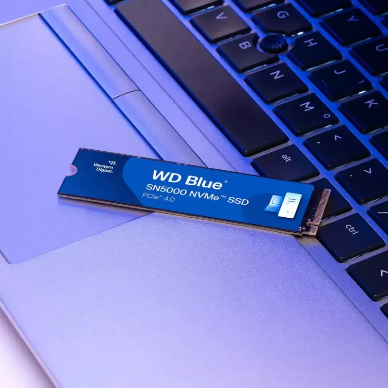 SSD-ketas Western Digital 500GB M.2 PCIe Gen4 Blue SN5000
