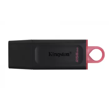 Kingston Technology DataTraveler Exodia - USB 3.2 mälupulk
