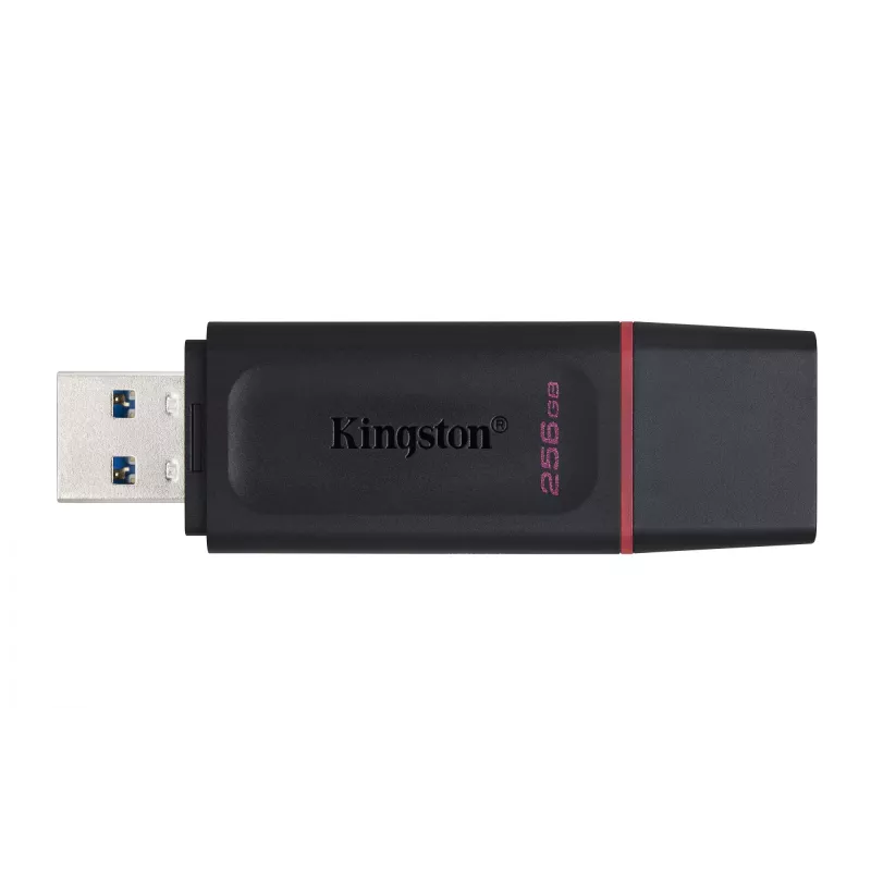 Kingston Technology DataTraveler Exodia - USB 3.2 mälupulk