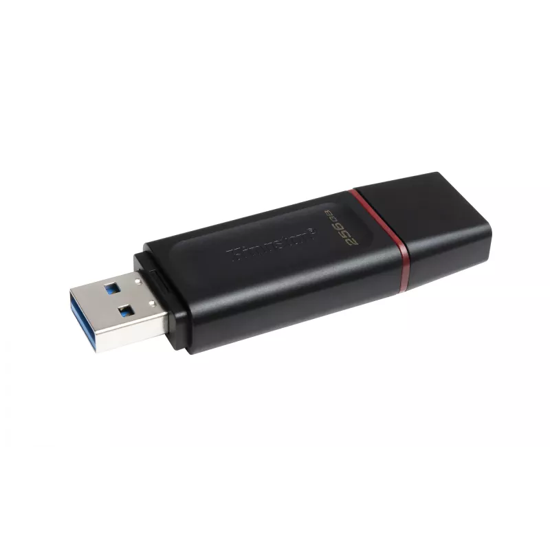 Kingston Technology DataTraveler Exodia - USB 3.2 mälupulk