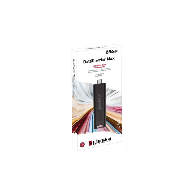 Kingston Technology DataTraveler 256GB Max 1000R/900W USB 3.2 Gen 2