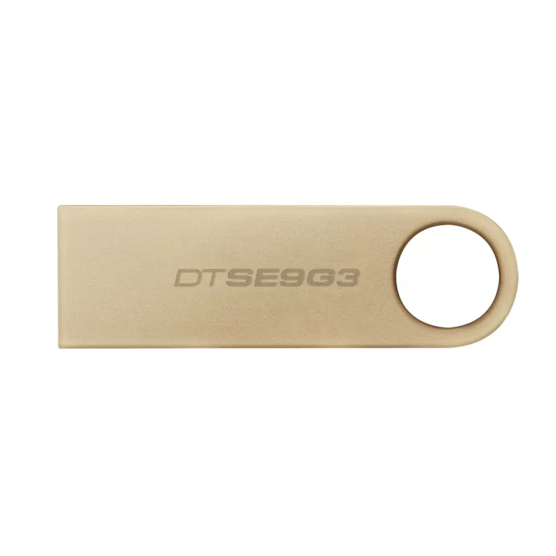 Kingston Technology DataTraveler 256 GB 220 MB/s metallist USB 3.2 Gen 1 SE9 G3