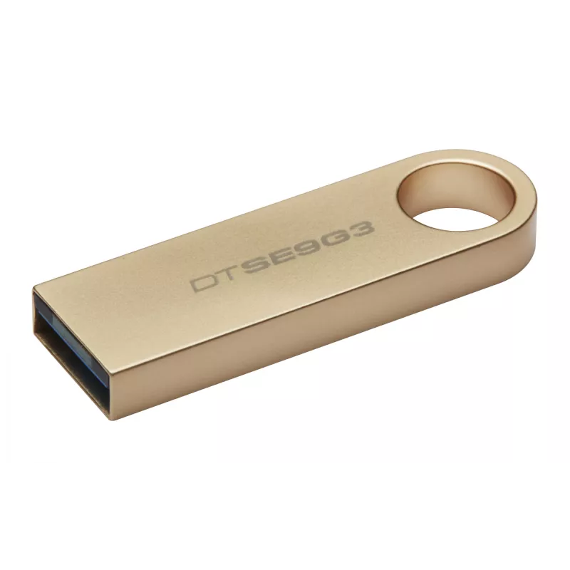 Kingston Technology DataTraveler 256 GB 220 MB/s metallist USB 3.2 Gen 1 SE9 G3