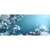 Xerox Genuine® C310 Color Printer/C315 Color Multifunction Printer magenta High capacity toonerkassett (5500 lehekülge) - 006R04366