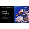 Xerox Genuine ® C230 Color Printer/C235 Color Multifunction Printer must, suure mahutavusega toonerkassett (3000 lehekülge) - 006R04391
