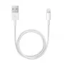 APPLE Lightning USB-kaabel (0.5 M)