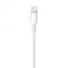 APPLE Lightning USB-kaabel (0.5 M)