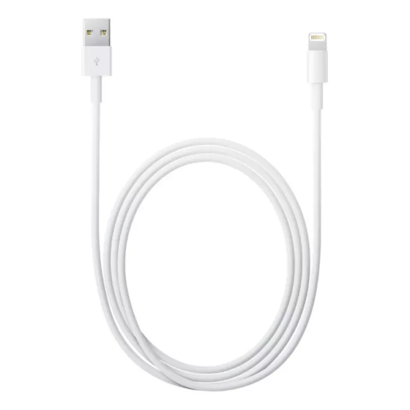 Apple Lightning-USB kaabel 2 m MD819ZM/A