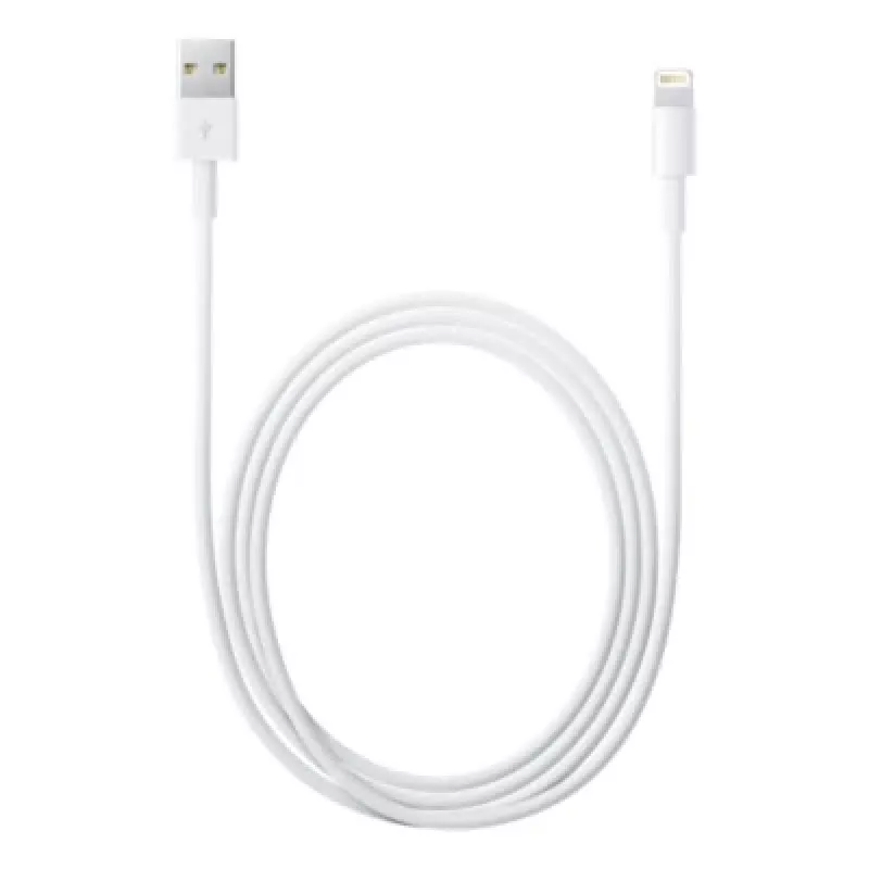 Apple Lightning-USB kaabel 2 m MD819ZM/A
