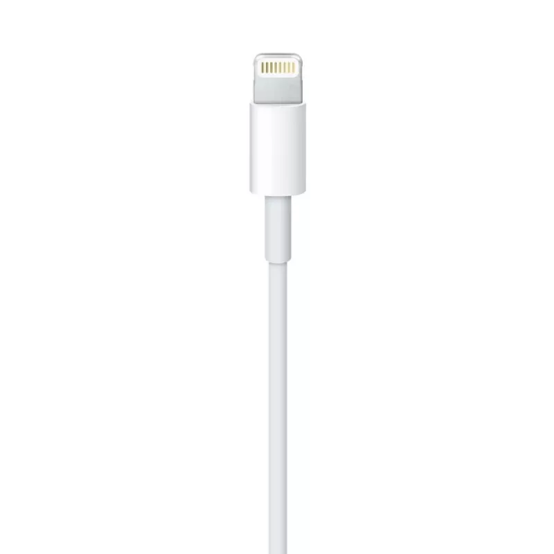 Apple Lightning-USB kaabel 2 m MD819ZM/A