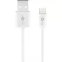 Laadimis- ja sünkroonimiskaabel GOOBAY Lightning to USB A 1 m, 5W / 1A, valge
