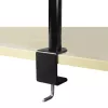 ARCTIC Z1 Basic - Lauakinnitusega monitori käsi, klamber, 8 kg, 33 cm (13 tolli), 81,3 cm (32 tolli), 100 x 100 mm, must