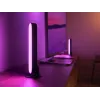 Philips Hue Valge and colour ambience Play valgusriba topeltpakend