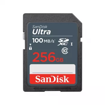 Välkmälu SanDisk 256GB SDXC UHS-I Klass 10 SDSDUNR-256G-GN3IN