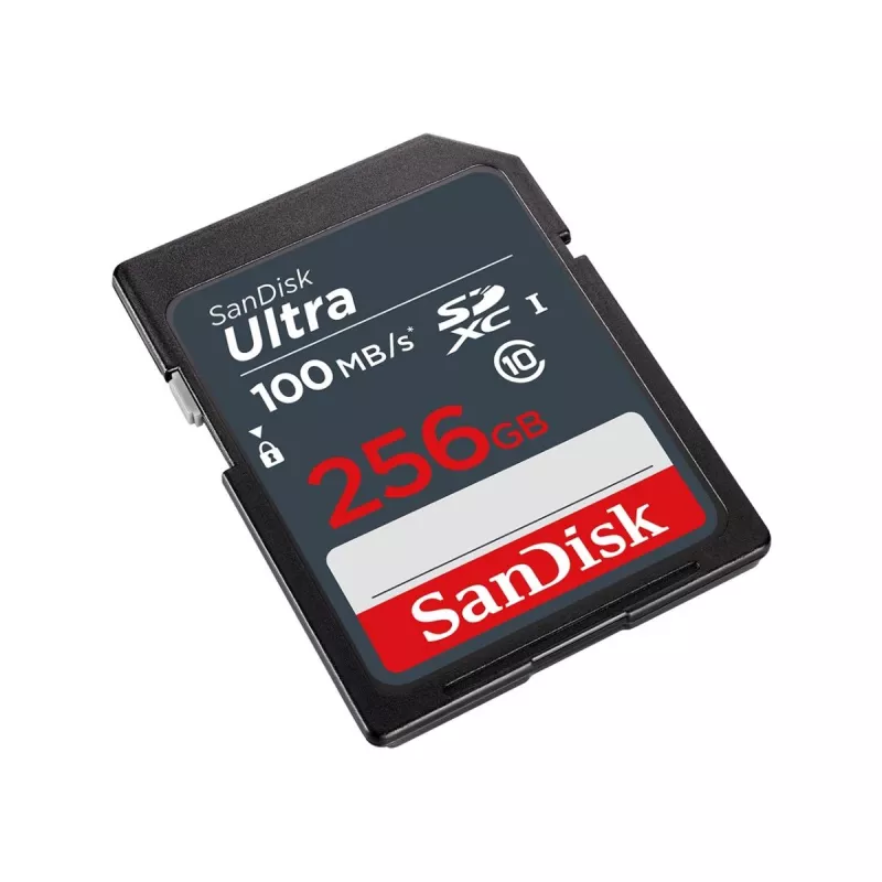 Välkmälu SanDisk 256GB SDXC UHS-I Klass 10 SDSDUNR-256G-GN3IN