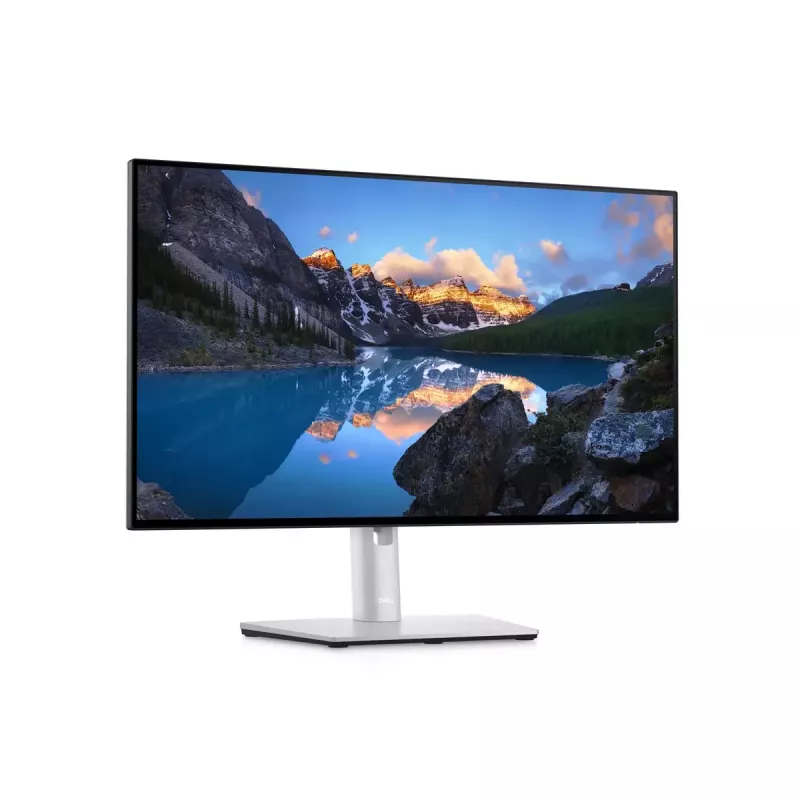 Monitor DELL UltraSharp 24 U2422H 23,8 tolli Full HD LCD 1920x1080