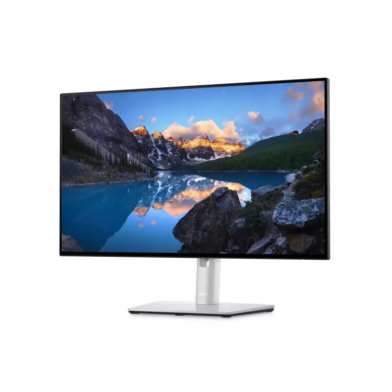 Monitor DELL UltraSharp 24 U2422H 23,8 tolli Full HD LCD 1920x1080