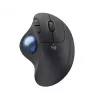 Hiir Logitech ERGO M575 ärikasutuseks, RF-juhtmevaba + Bluetooth