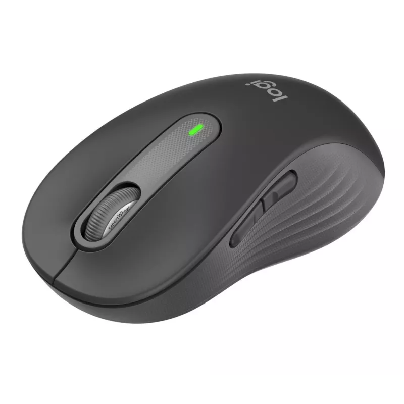 Hiir Logitech Signature M650 L RF juhtmevaba + Bluetooth