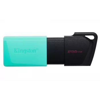Kingston Technology DataTraveler 256GB USB3.2 Gen1 Exodia M (must + sinakasroheline)