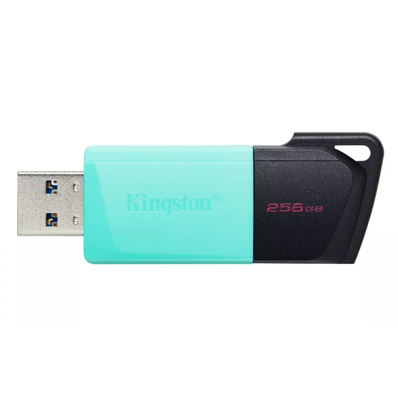 Kingston Technology DataTraveler 256GB USB3.2 Gen1 Exodia M (must + sinakasroheline)