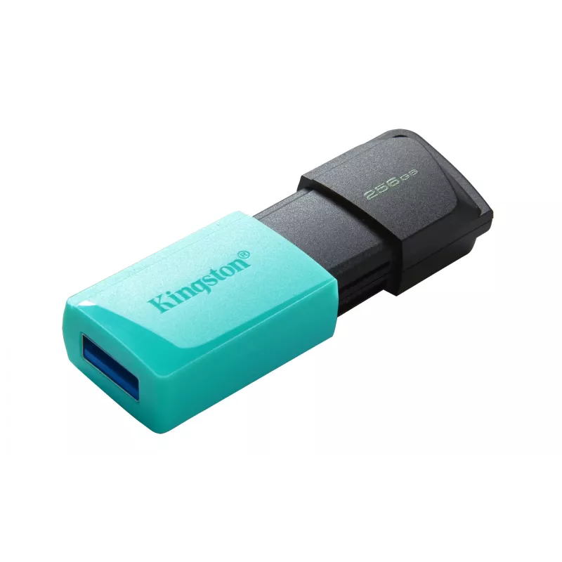 Kingston Technology DataTraveler 256GB USB3.2 Gen1 Exodia M (must + sinakasroheline)