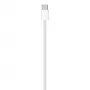 APPLE USB-c laadimiskaabel (1 m)