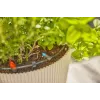 Tilguti niisutussüsteem Gardena 13400-20 Vooliku pikkus 15 m Must Roheline