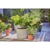 Tilguti niisutussüsteem Gardena 13400-20 Vooliku pikkus 15 m Must Roheline