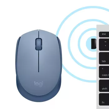 Hiir Logitech M171 RF juhtmevaba optiline