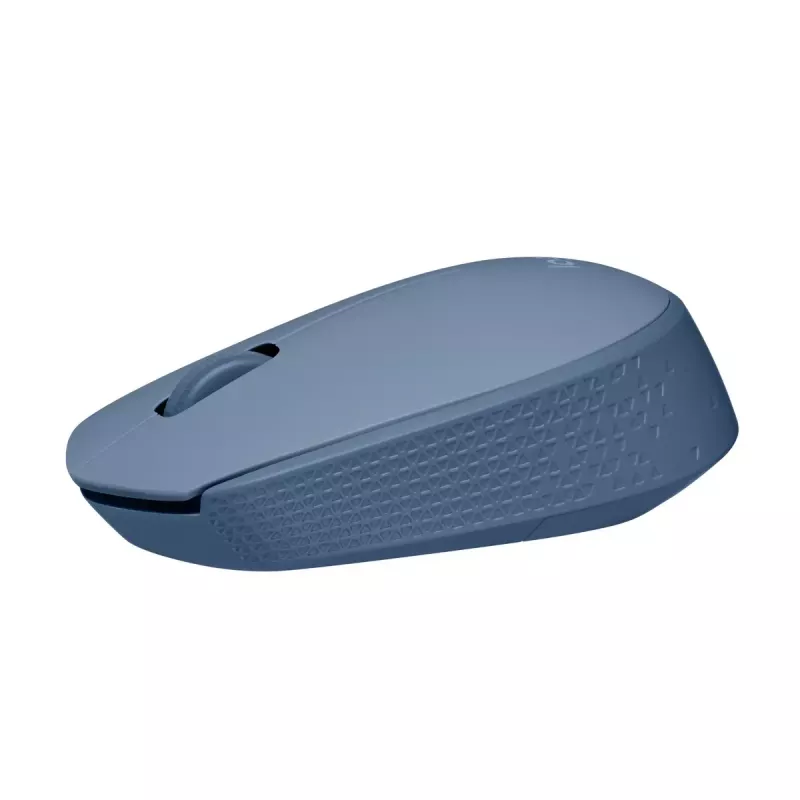 Hiir Logitech M171 RF juhtmevaba optiline