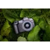 Canon EOS R8 + RF 24-50mm F4.5-6.3 IS STM Kit, 24.2 MP, 6000 x 4000 pikslit, CMOS, 4K Ultra HD, puuteekraan, must