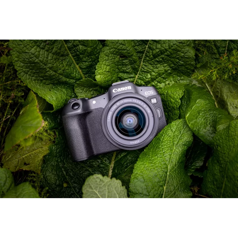 Canon EOS R8 + RF 24-50mm F4.5-6.3 IS STM Kit, 24.2 MP, 6000 x 4000 pikslit, CMOS, 4K Ultra HD, puuteekraan, must