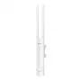 TP-Link EAP113-Outdoor 300 Mbit/s Valge Power over Ethernet (PoE)