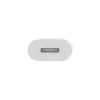 APPLE Lightning adapter – 24pin USB-c isane Lightning emane