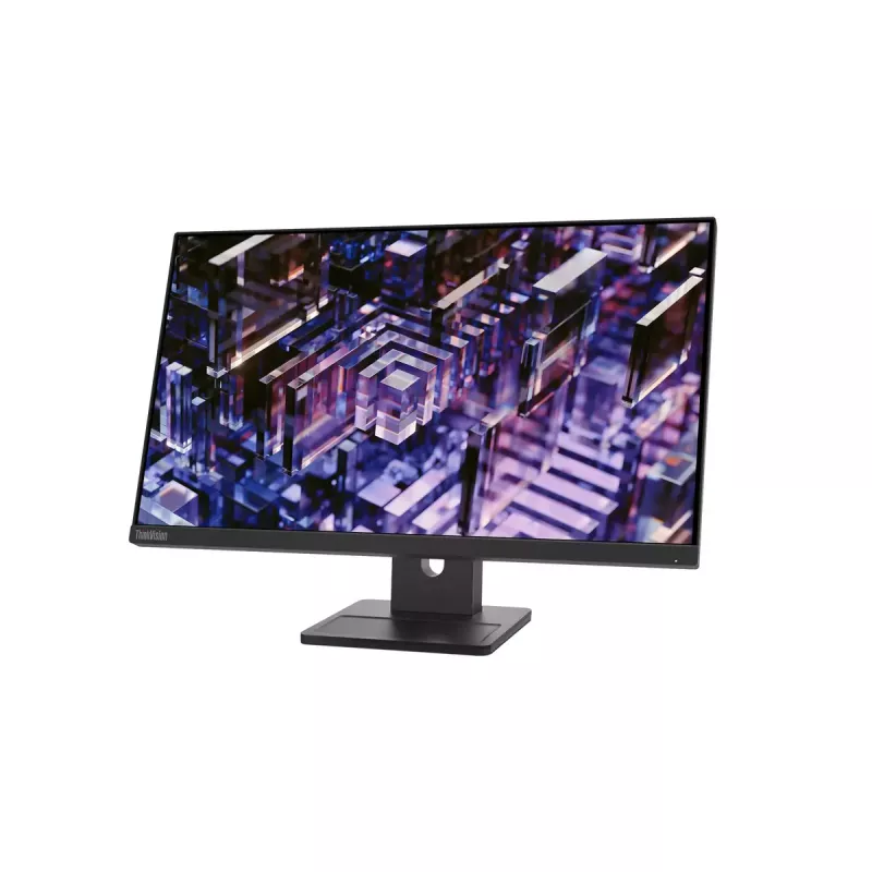 Monitor Lenovo ThinkVision E24q-30 23.8 tolli 2K Ultra HD LED 2560 x 1440