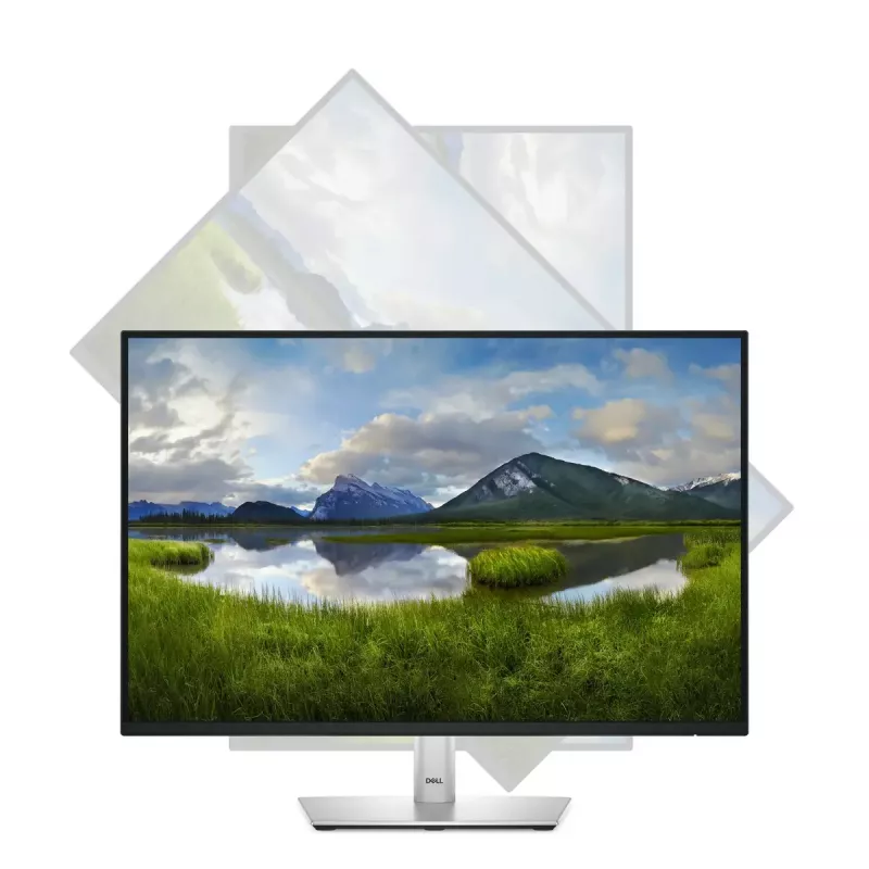 DELL Pro Plus P2425 arvutimonitor 61,1 cm (24,1 tolli) 1920 x 1200 pikslit WUXGA LCD must