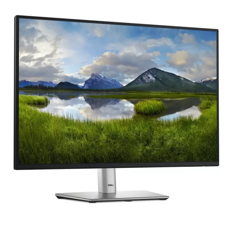 DELL Pro Plus P2425 arvutimonitor 61,1 cm (24,1 tolli) 1920 x 1200 pikslit WUXGA LCD must
