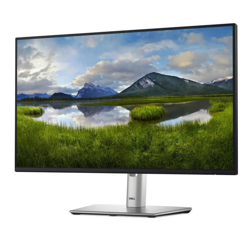 DELL Pro Plus P2425H arvutimonitor 60,5 cm (23,8 tolli) 1920 x 1080 pikslit Full HD LCD must
