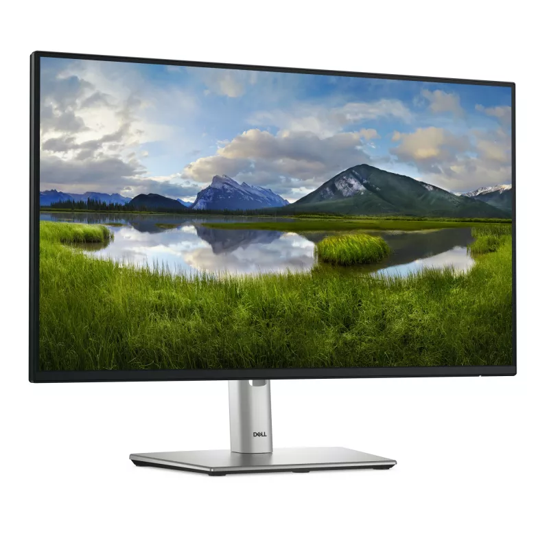 DELL Pro Plus P2425H arvutimonitor 60,5 cm (23,8 tolli) 1920 x 1080 pikslit Full HD LCD must