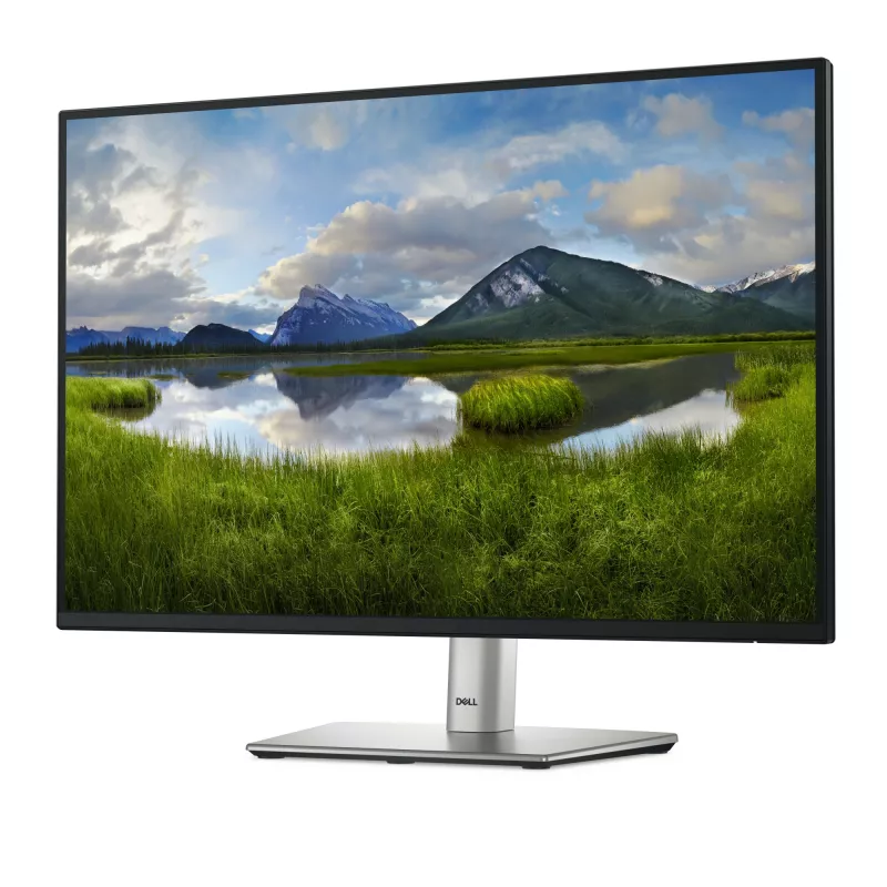 DELL Pro Plus P2425E arvutimonitor 61,1 cm (24,1 tolli) 1920 x 1200 pikslit WUXGA LCD must