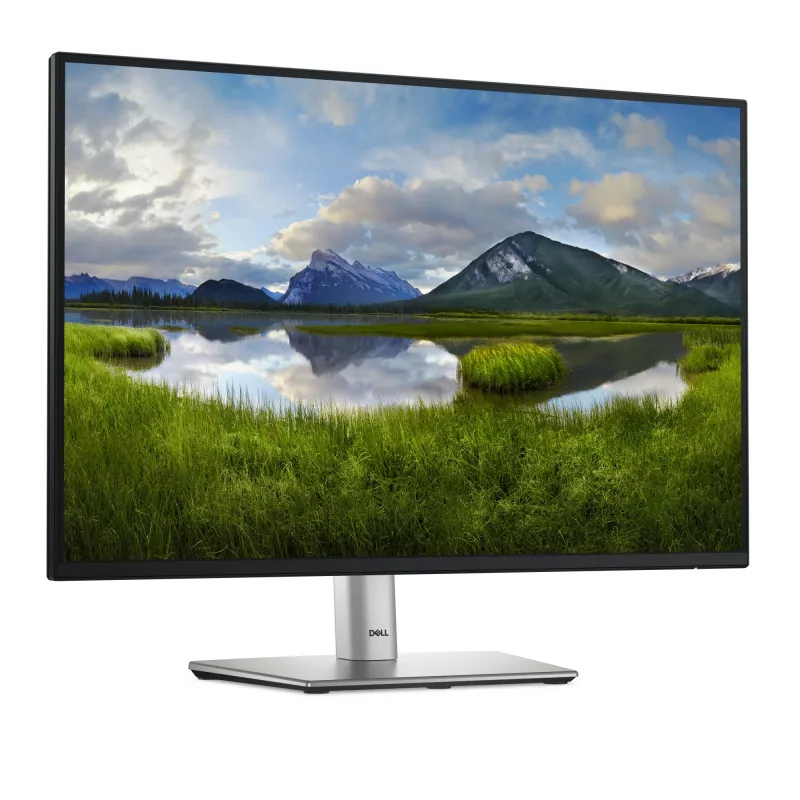 DELL Pro Plus P2425E arvutimonitor 61,1 cm (24,1 tolli) 1920 x 1200 pikslit WUXGA LCD must