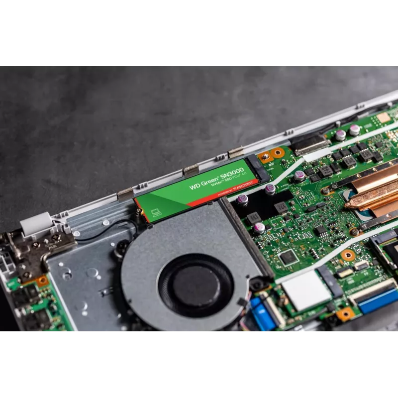 WESTERN DIGITAL SSD - WD roheline SN3000 NVMe - 500GB - Pci-e Gen4 x4 - M.2 2280