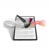 Lenovo Idea Tab Pro Mediatek 256 GB 32,3 cm (12,7 tolli) 12 GB Wi-Fi 6E (802.11ax) Android 14 Hall