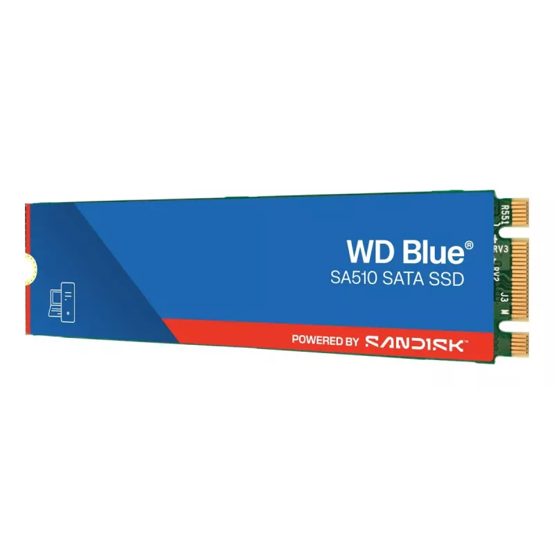WESTERN DIGITAL SSD - WD Sinine SA510 - 1TB - SATA 6Gb/s - M.2 2280