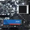 WESTERN DIGITAL SSD - WD Sinine SA510 - 1TB - SATA 6Gb/s - M.2 2280